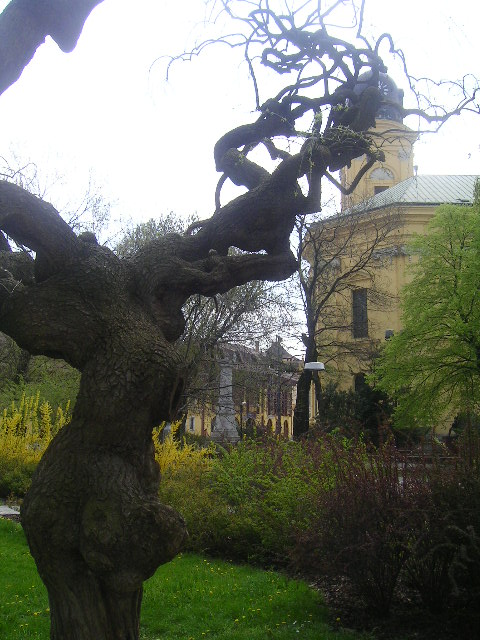 PICT0054.JPG