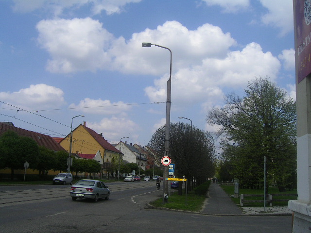 PICT0057.JPG