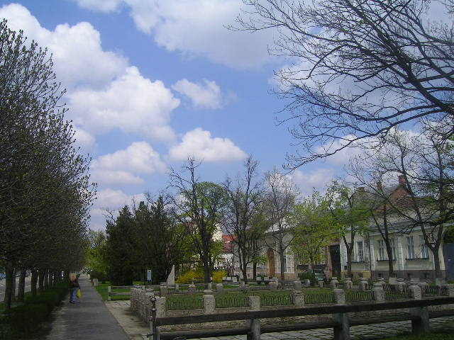 PICT0060.JPG
