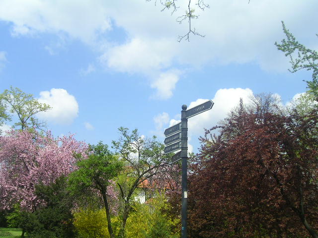 PICT0063.JPG
