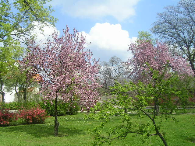 PICT0064.JPG