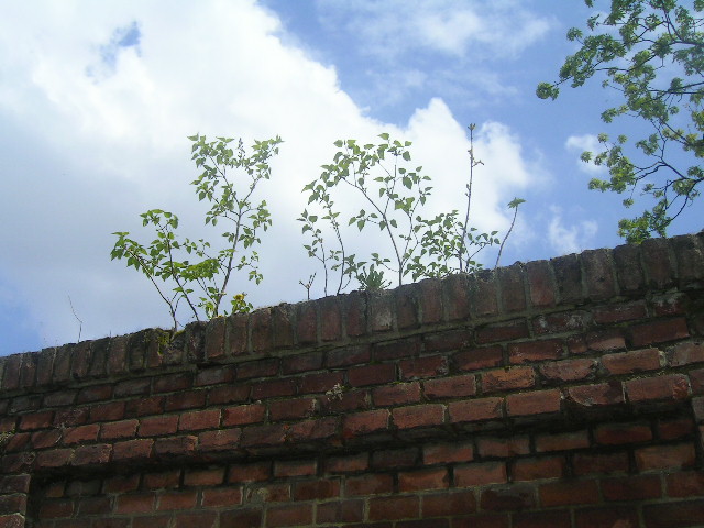 PICT0067.JPG
