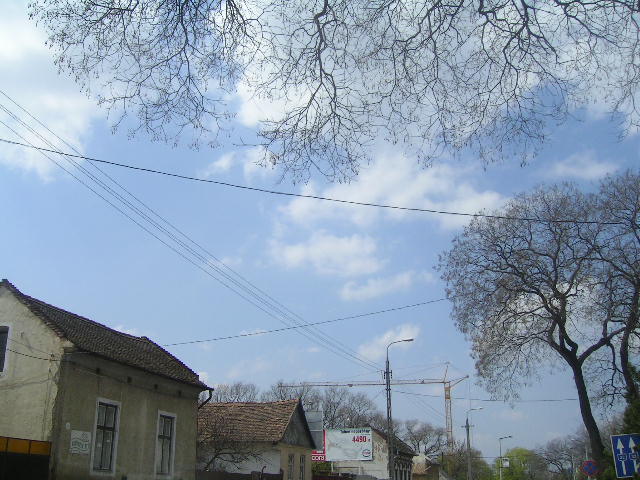 PICT0068.JPG
