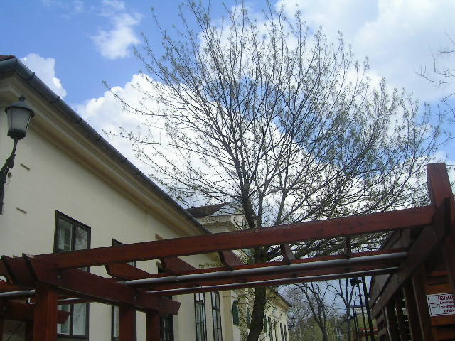 PICT0086.JPG