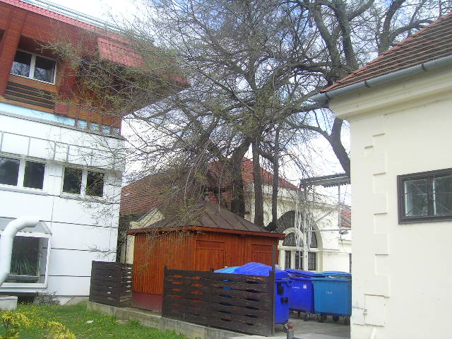 PICT0088.JPG