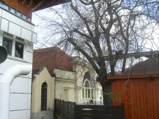 PICT0090.JPG