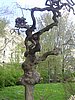 PICT0052.JPG