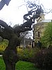 PICT0054.JPG