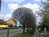 PICT0058.JPG