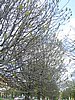 PICT0059.JPG