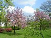 PICT0064.JPG