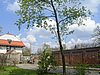 PICT0065.JPG