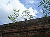 PICT0067.JPG