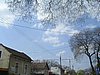 PICT0068.JPG