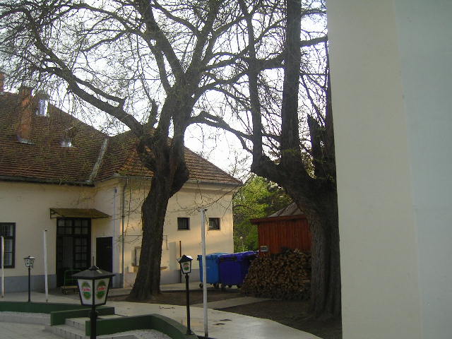 PICT0151.JPG