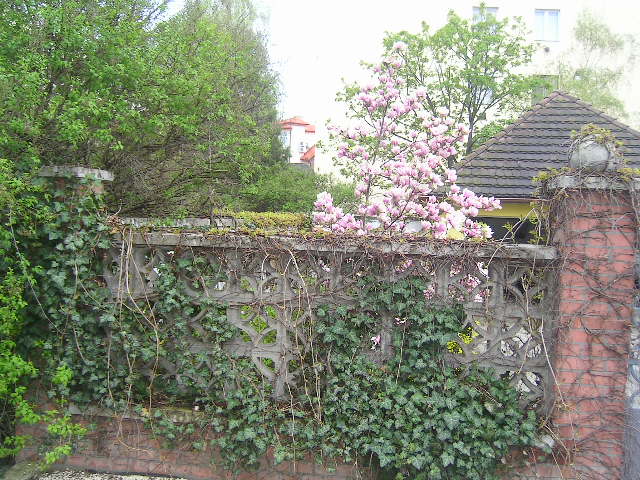 PICT0338.JPG