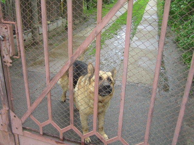 PICT0340.JPG