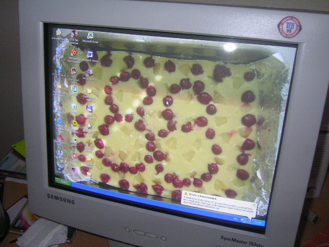 PICT0342.JPG