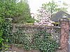 PICT0338.JPG