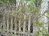 PICT0339.JPG