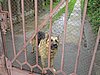 PICT0340.JPG