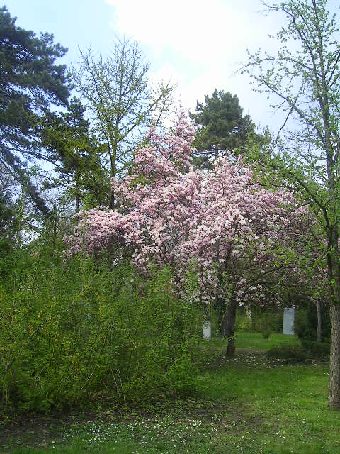 PICT0347.JPG