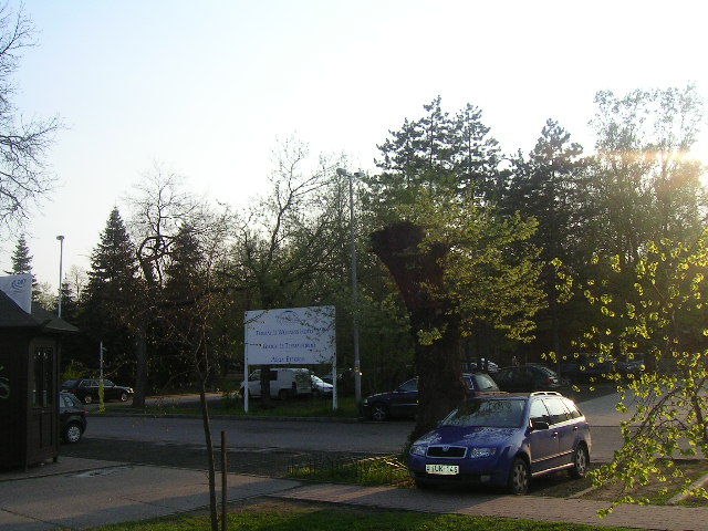 PICT0392.JPG