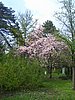 PICT0347.JPG