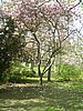 PICT0350.JPG