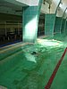 PICT0358.JPG