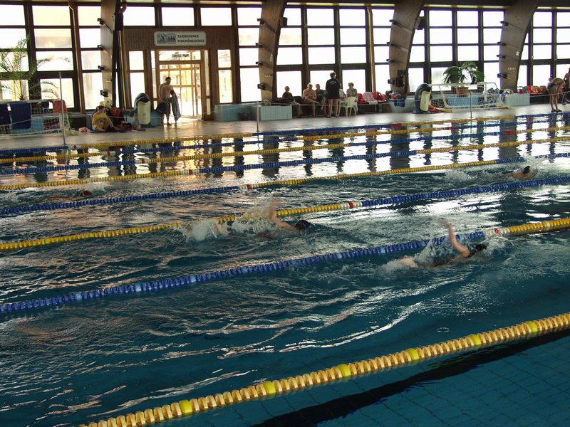 P5136261.JPG