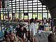 P5136239.JPG