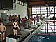 P5136249.JPG