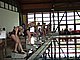 P5136250.JPG