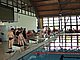 P5136262.JPG