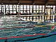 P5136270.JPG