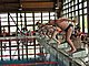 P5136290.JPG