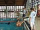 P5136434.JPG