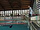 P5136471.JPG