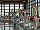 P5136479.JPG