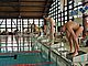 P5136568.JPG