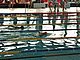 P5146620.JPG