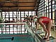 P5146635.JPG