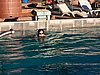 100_1580.JPG