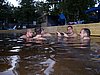 100_1622.JPG