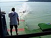100_1122.JPG