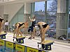IMG_0817.JPG