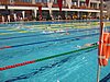 IMG_0843.JPG