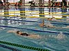 IMG_1014.JPG