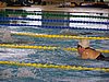 v_P1211019.JPG